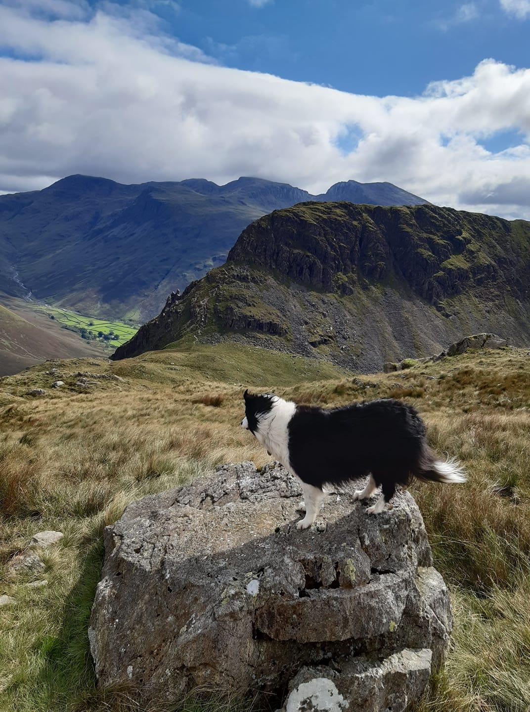 Molly Yewbarrow